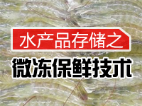 ˮƷ洢֮΢ʼ